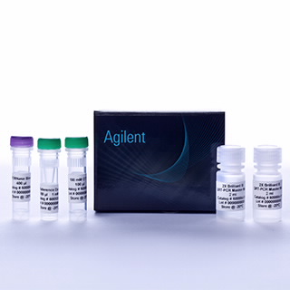 qRT-PCR Brilliant III SYBR 预混液